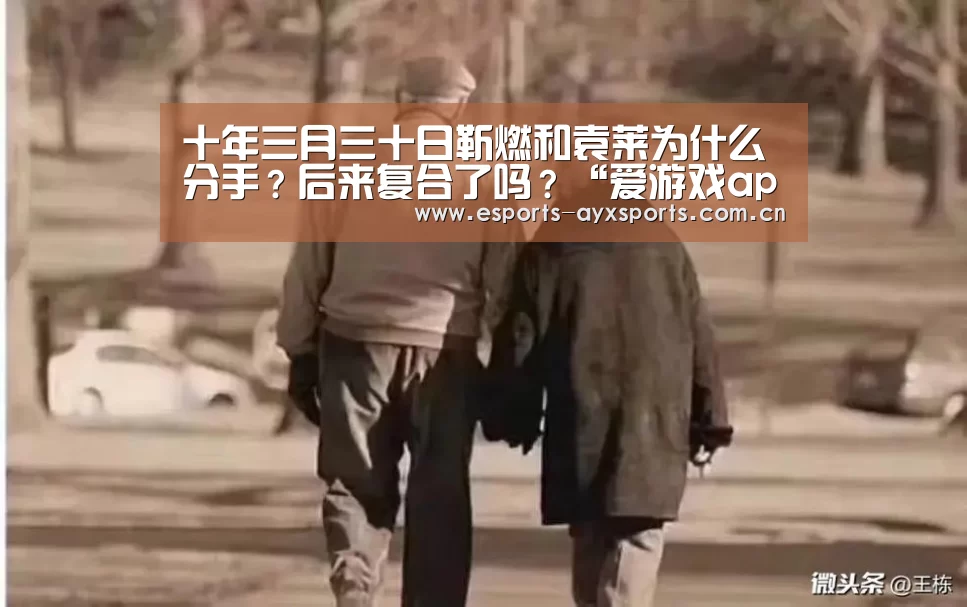 十年三月三十日靳燃和袁莱为什么分手?后来复合了吗?“爱游戏app”(图4) 爱游戏棋牌