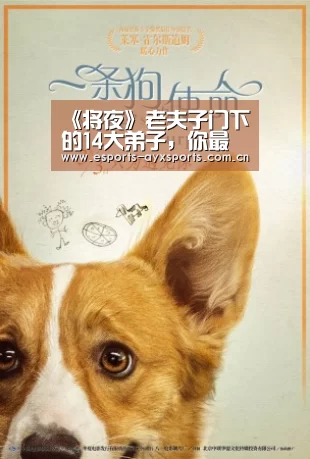 《将夜》老夫子门下的14大弟子,你最喜欢谁?|爱游戏app(图4) 爱游戏app