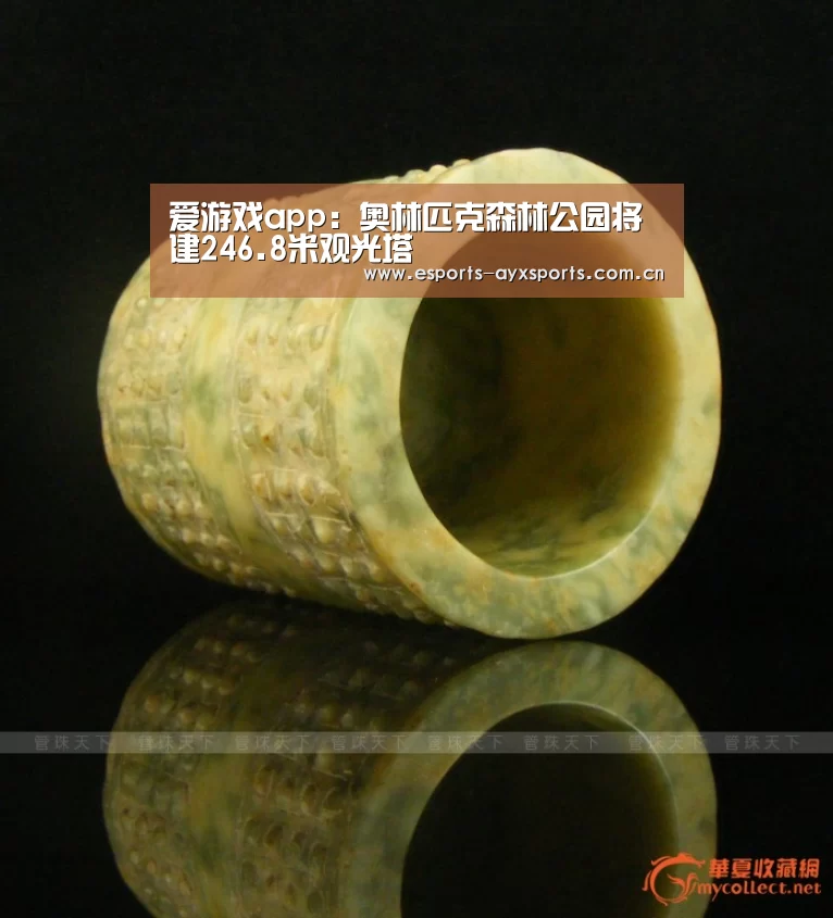 爱游戏app:奥林匹克森林公园将建246.8米观光塔(图2) 爱游戏棋牌