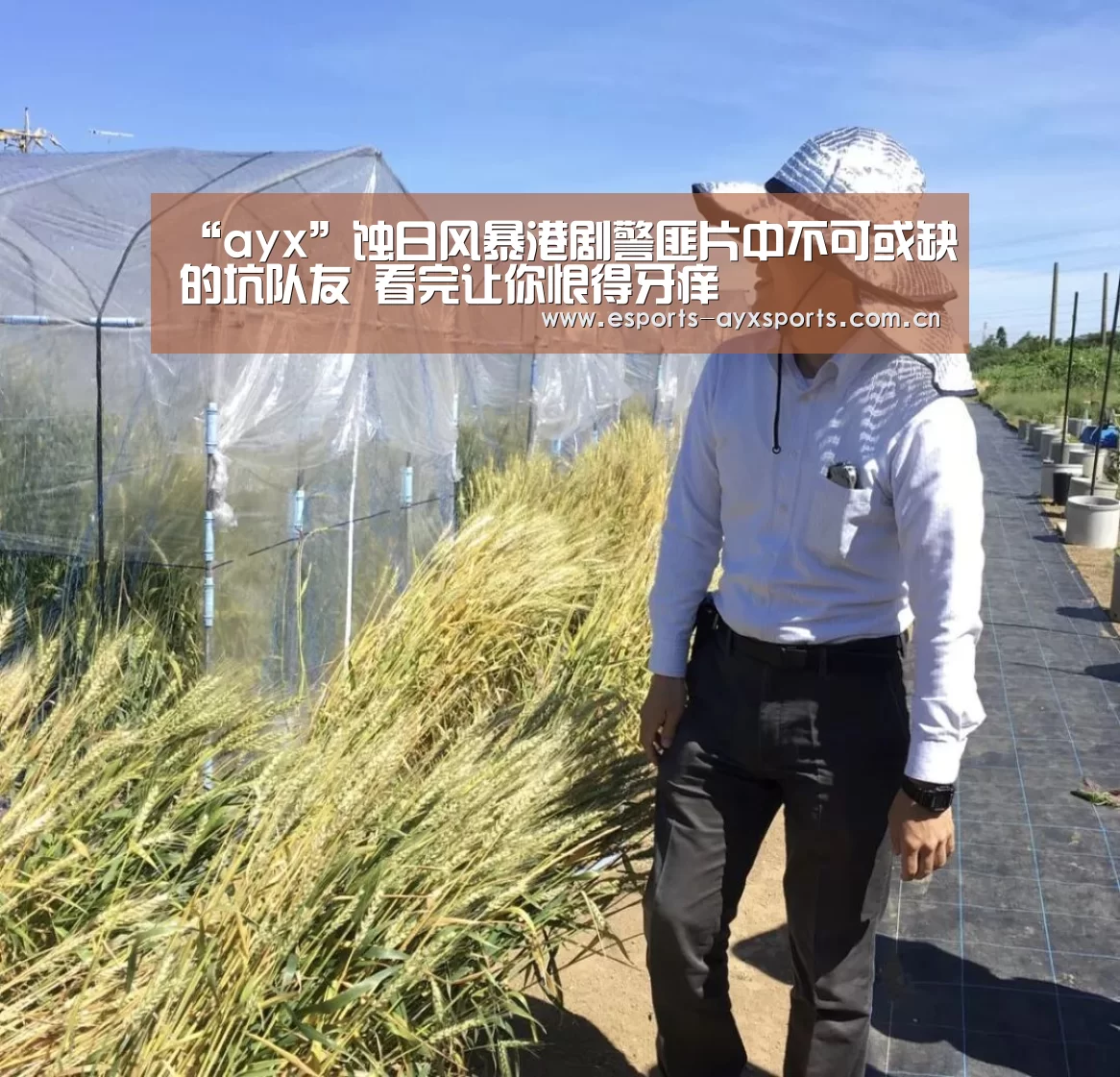 “ayx”蚀日风暴港剧警匪片中不可或缺的坑队友 看完让你恨得牙痒(图2) “ayx”蚀日风暴港剧警匪片中不可或缺的坑队友 看完让你恨得牙痒(图2)