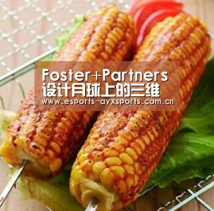 Foster+Partners设计月球上的三维打印建筑物“爱游戏棋牌”(图3) Foster+Partners设计月球上的三维打印建筑物“爱游戏棋牌”(图3)