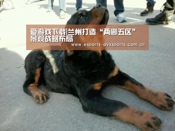 爱游戏下载