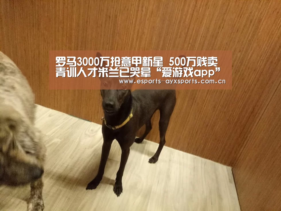 罗马3000万抢意甲新星 500万贱卖青训人才米兰已哭晕“爱游戏app”(图1) 爱游戏棋牌