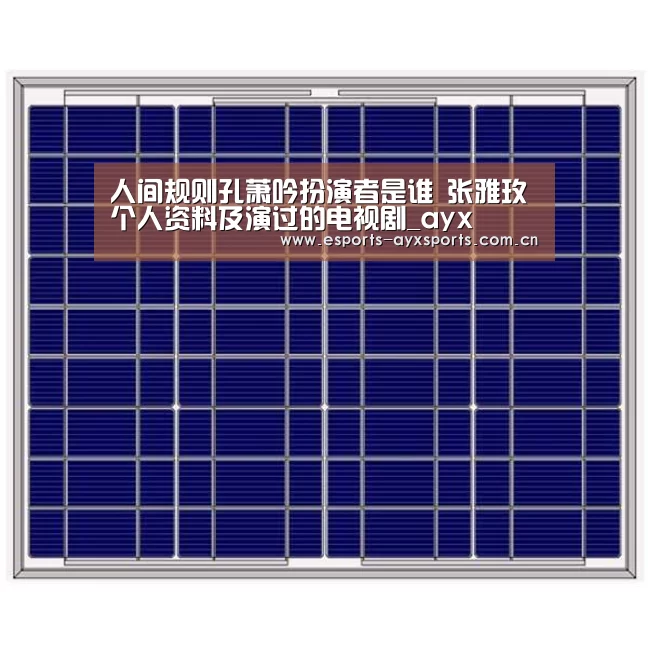人间规则孔萧吟扮演者是谁 张雅玫个人资料及演过的电视剧_ay